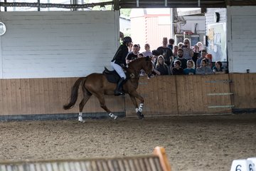 Bild 54 - Pony Akademie Turnier